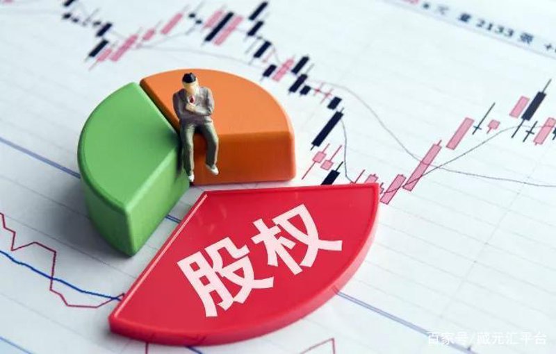 股权投资:引领资本时代的创新引擎